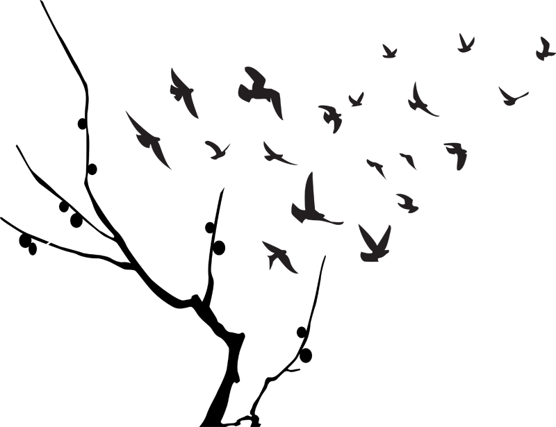 Silhouetted Birds Flying From Tree Branch PNG