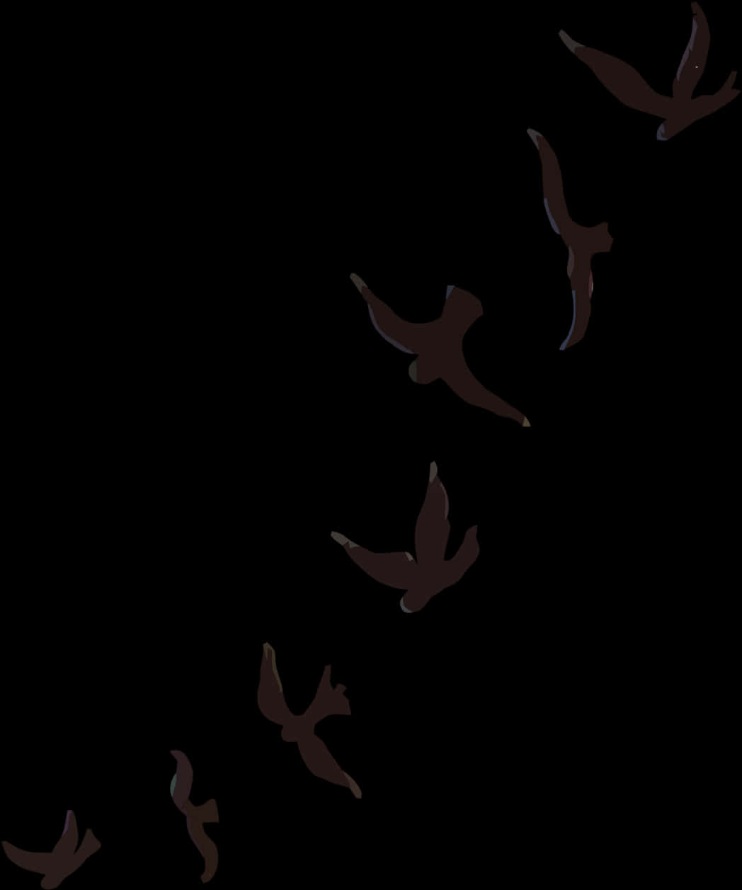 Silhouetted Birdsin Flight PNG