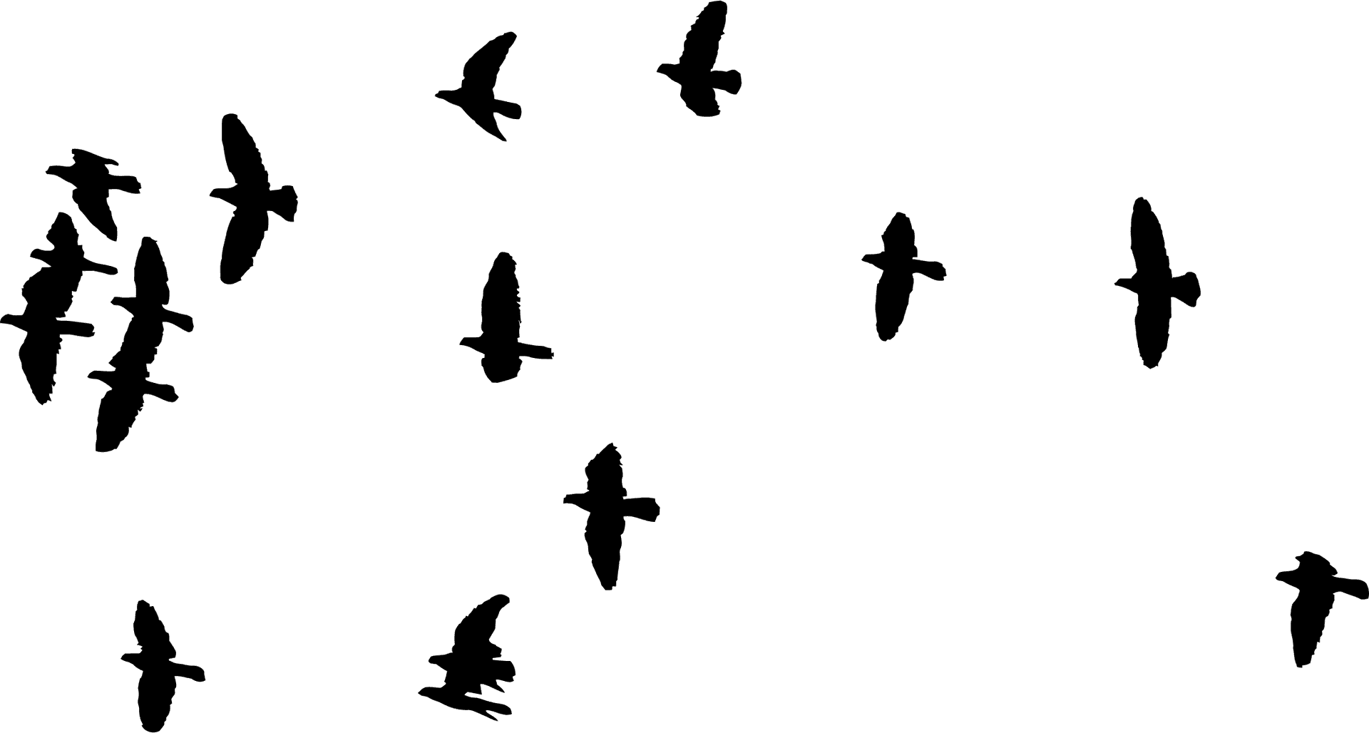 Silhouetted Birdsin Flight Sky Background PNG