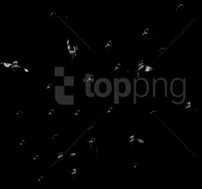 Silhouetted Birdsin Night Sky PNG