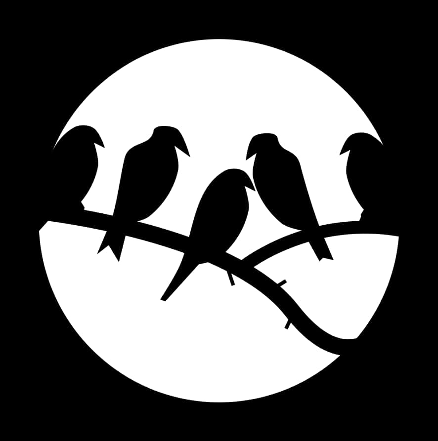 Silhouetted Birdson Branch PNG