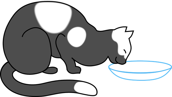 Silhouetted Cat Drinking Water PNG