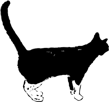 Silhouetted Cat Profile PNG