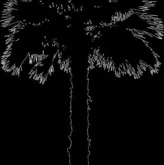 Silhouetted Coconut Tree Art PNG