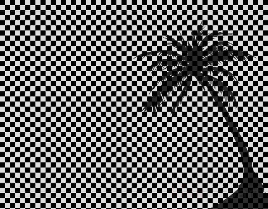 Silhouetted Coconut Tree Transparent Background PNG