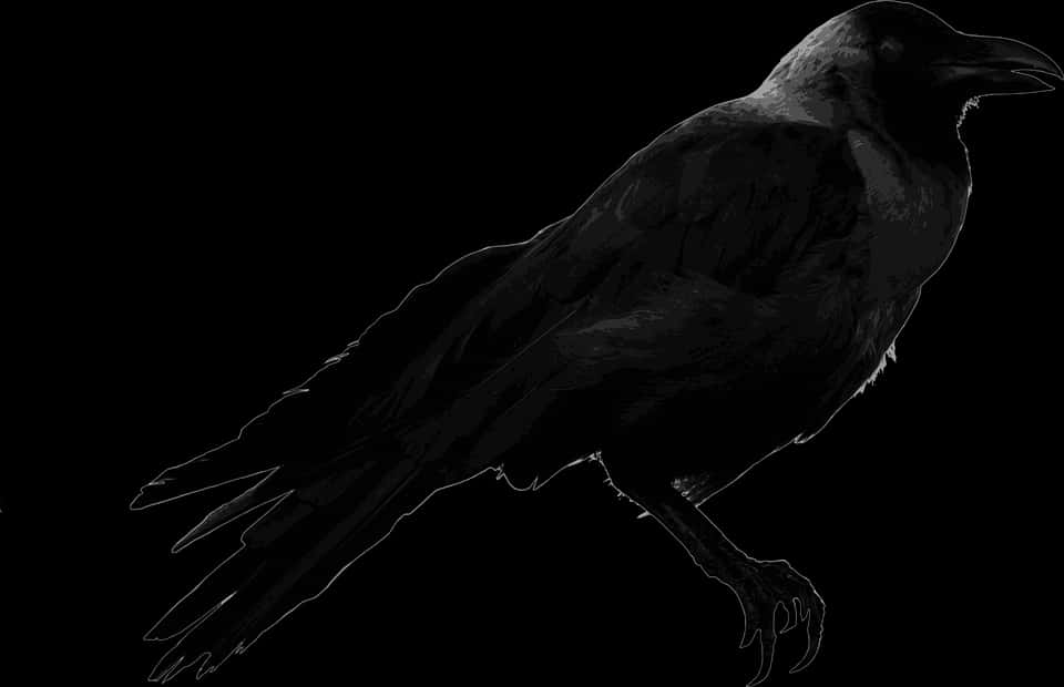 Silhouetted Crow Profile PNG