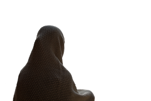 Silhouetted Figurein Mesh Covering PNG