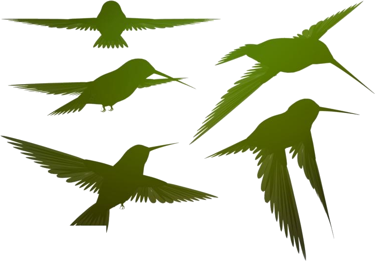 Silhouetted Flying Birds Vector PNG