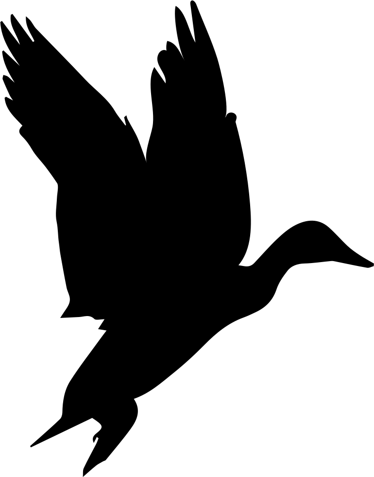 Silhouetted Flying Black Bird PNG