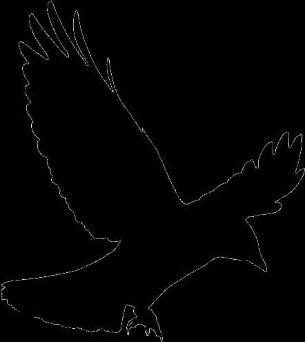 Silhouetted Flying Crow PNG