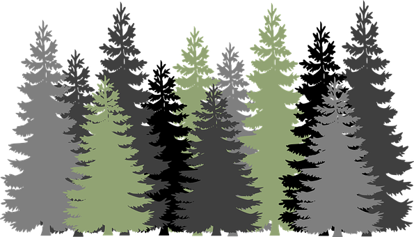 Silhouetted Forest Vector Illustration PNG