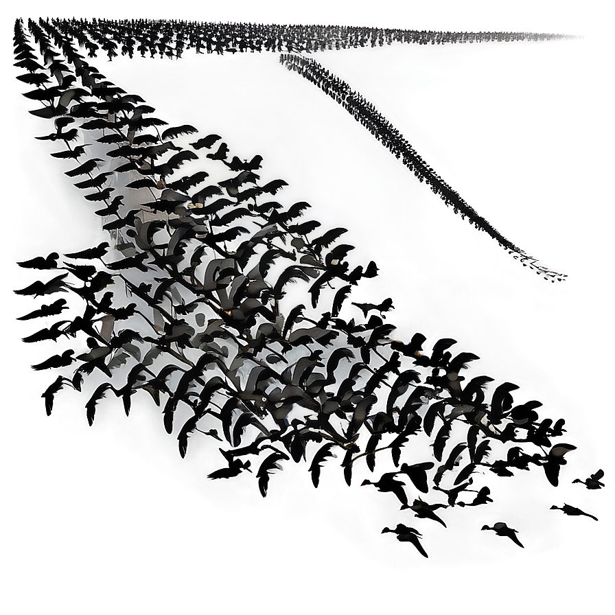 Silhouetted Geese Migration Png Cxx83 PNG