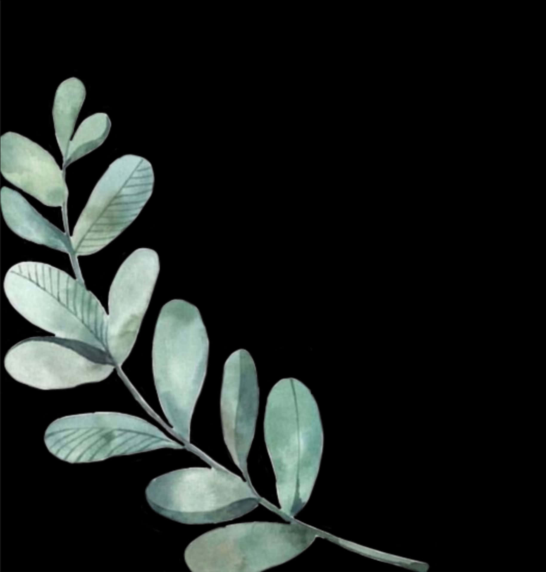 Silhouetted Green Leaves Against Black Background PNG