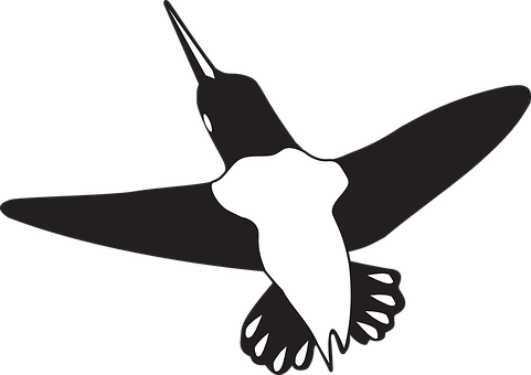 Silhouetted Hummingbird Graphic PNG