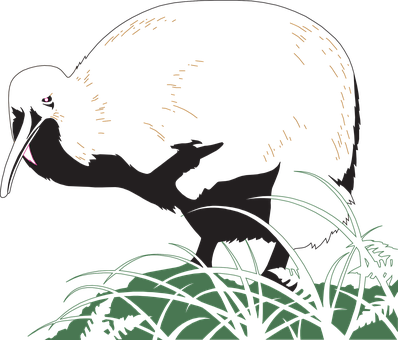 Silhouetted Kiwi Bird Nighttime PNG