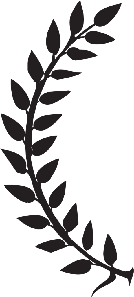 Silhouetted Leafy Branch Graphic PNG