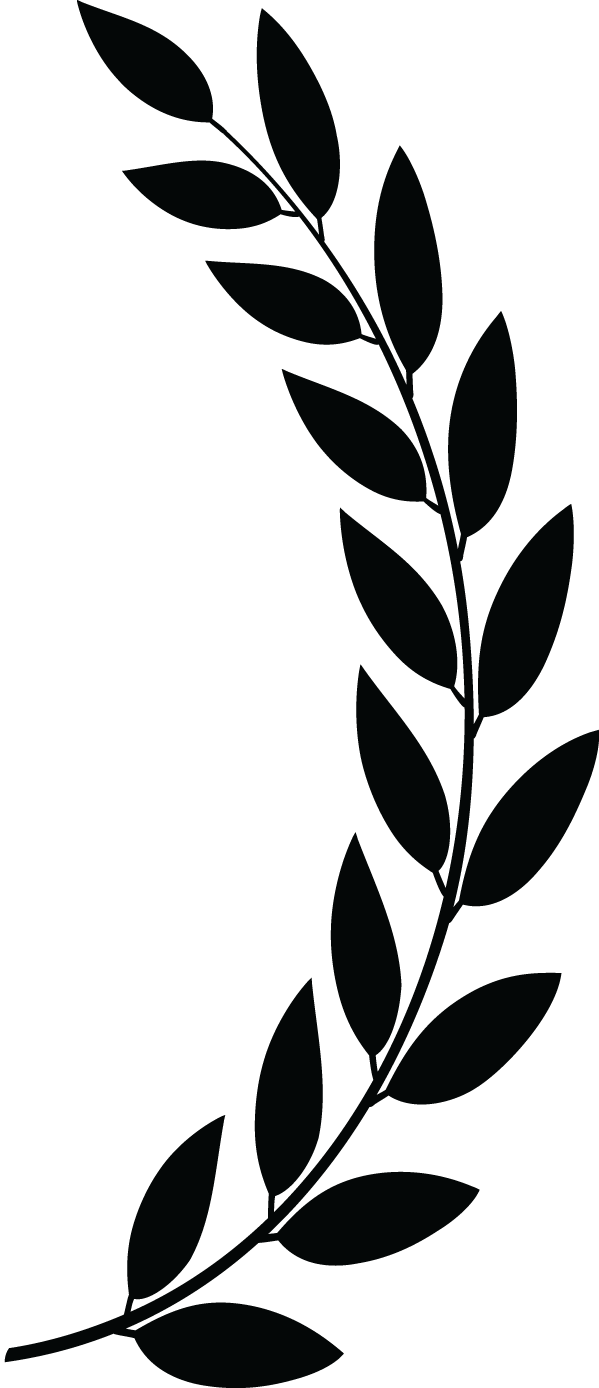Silhouetted Leafy Branch PNG