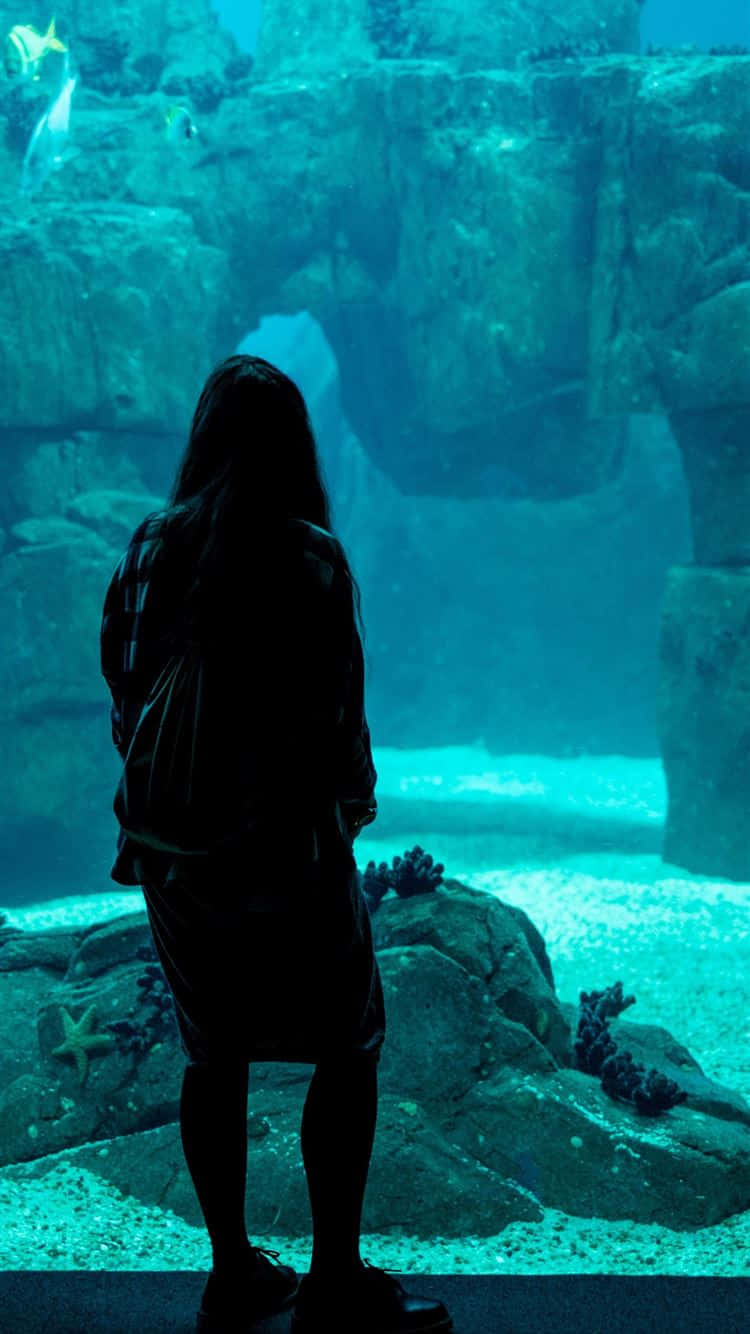 Silhouetted_ Observer_at_ Aquarium Wallpaper