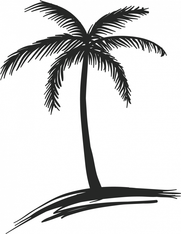 Silhouetted Palm Tree PNG