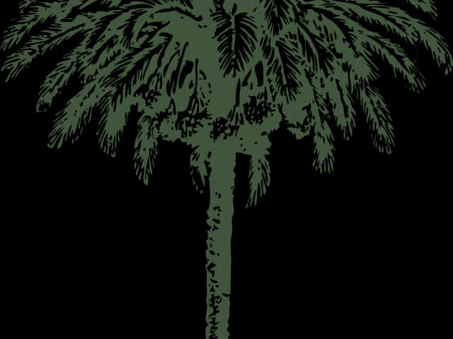 Silhouetted Palm Tree Artwork PNG