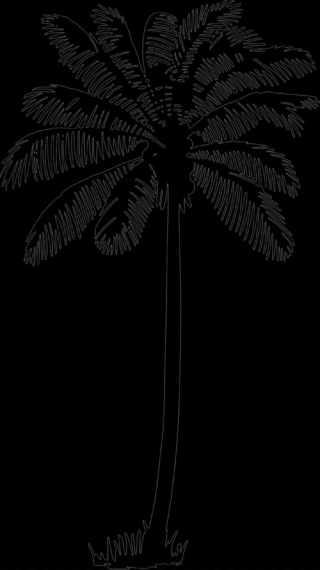 Silhouetted Palm Tree Graphic PNG