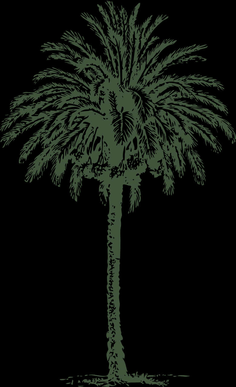Silhouetted Palm Tree Graphic PNG
