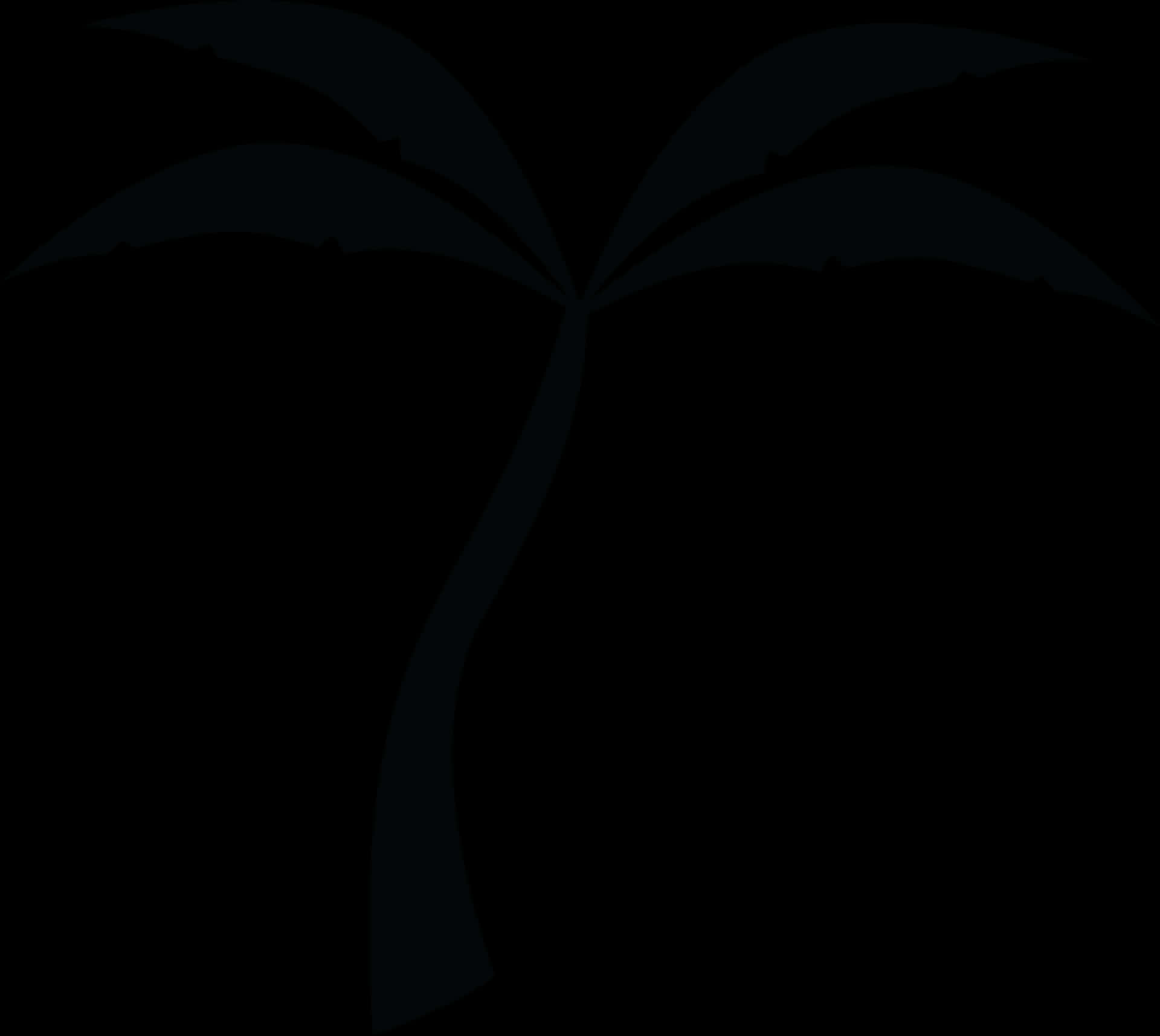 Silhouetted Palm Tree Night Sky PNG