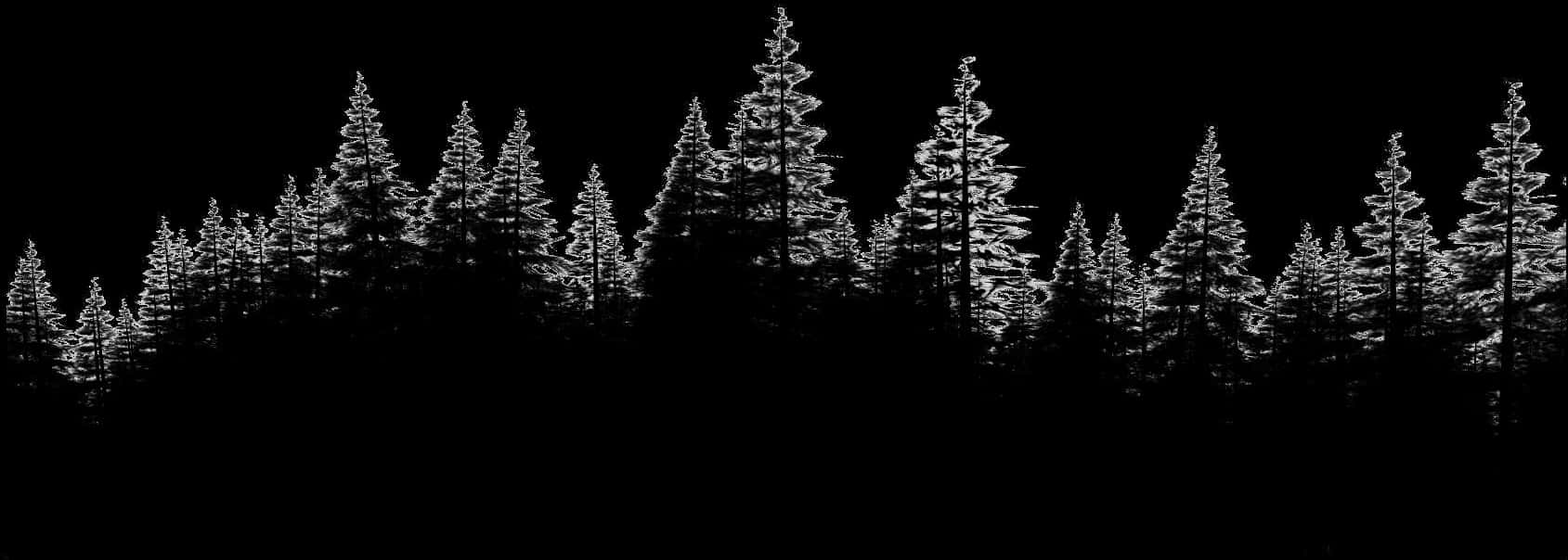 Silhouetted Pine Forest Night Sky PNG