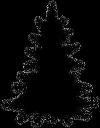 Silhouetted Pine Tree Black Background PNG