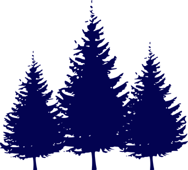 Silhouetted Pine Trees Graphic PNG