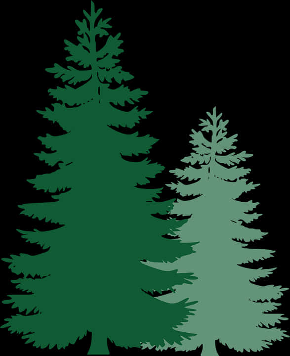 Silhouetted Pine Trees Graphic PNG