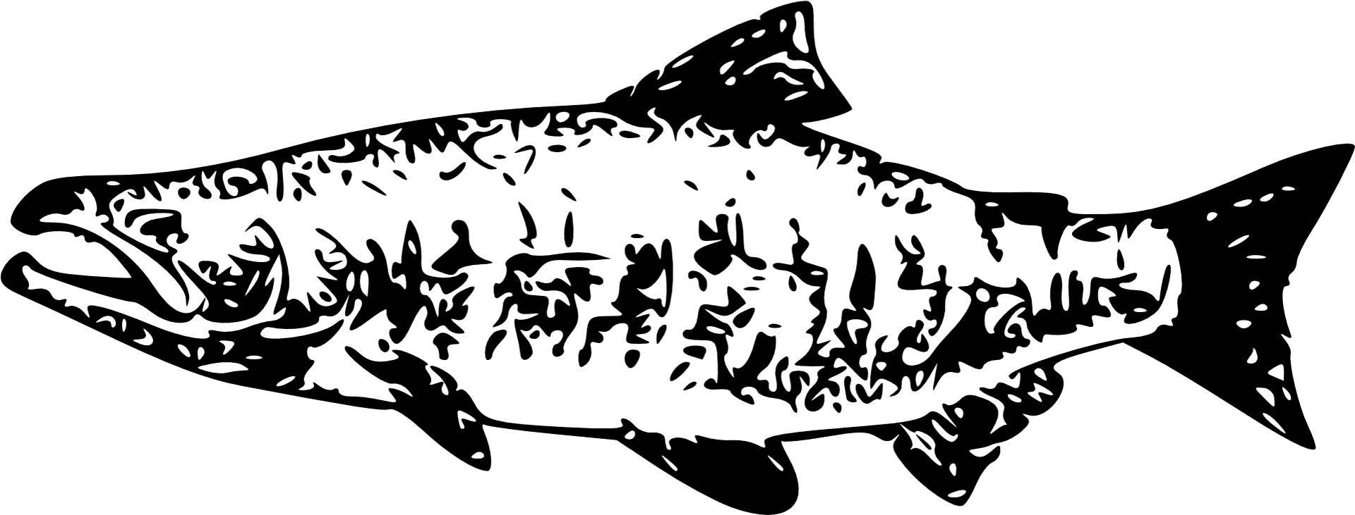 Silhouetted Salmon Illustration PNG
