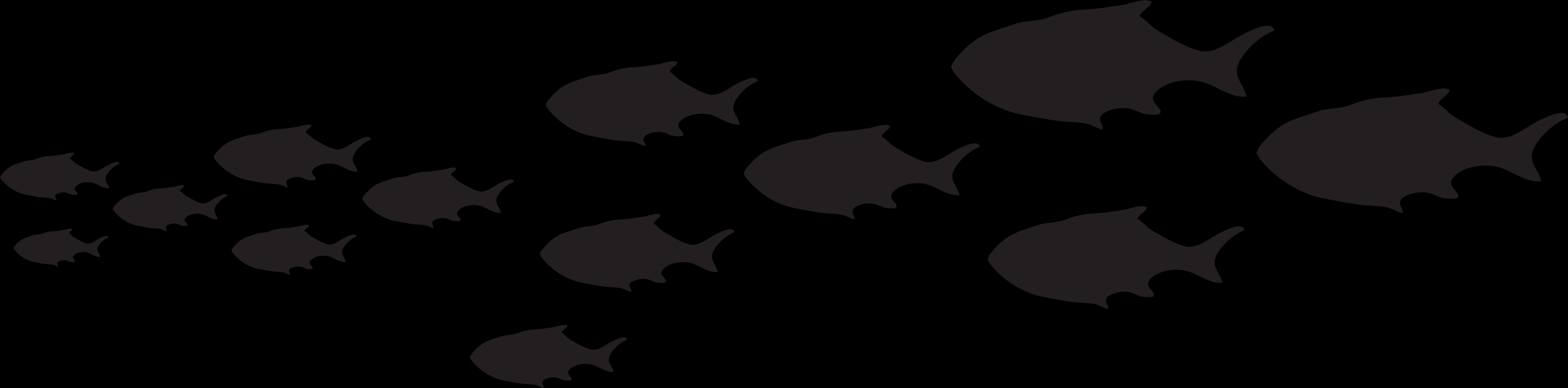 Silhouetted Schoolof Fish Dark Background PNG