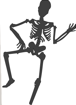 Silhouetted Skeleton Pose PNG