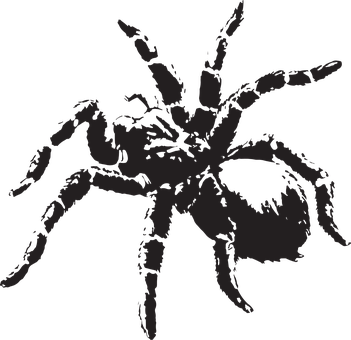 Silhouetted Spider Graphic PNG