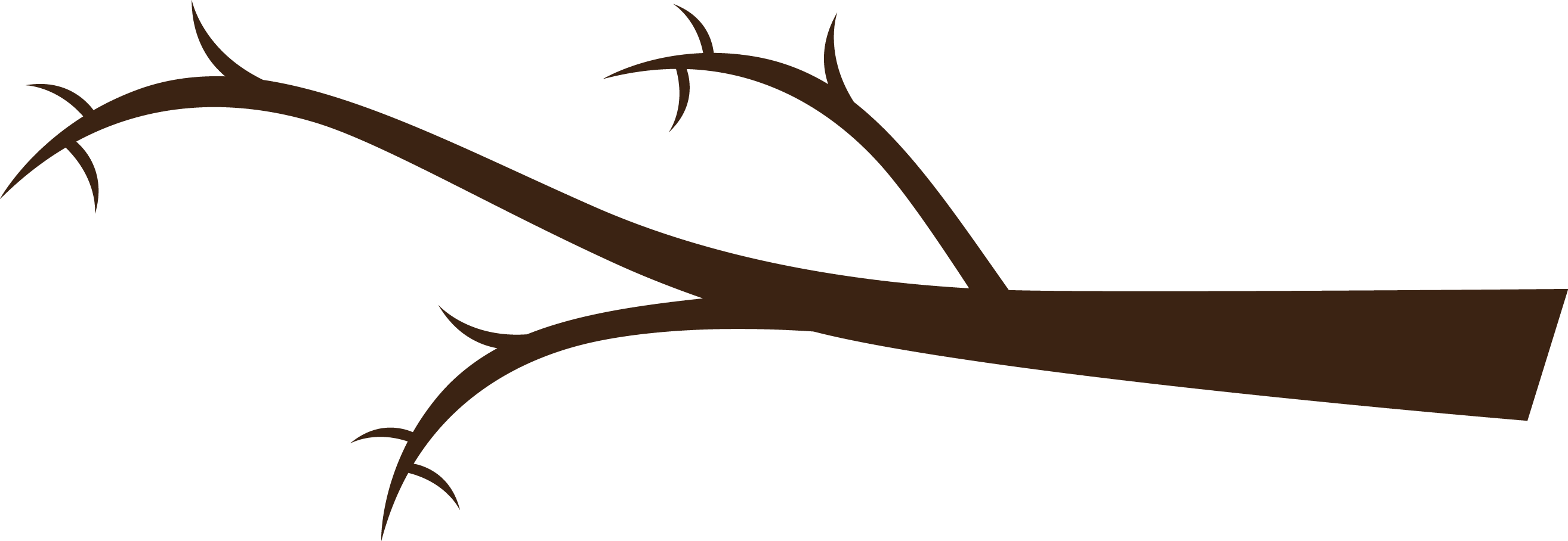 Silhouetted Tree Branchwith Thorns PNG