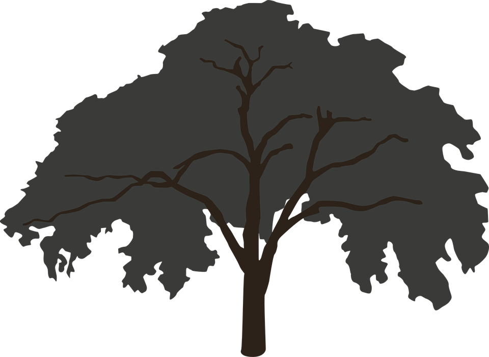 Silhouetted Tree Graphic PNG