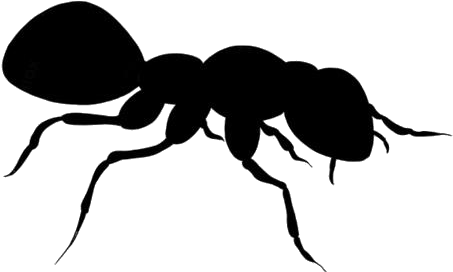 Silhouetteof Ant PNG