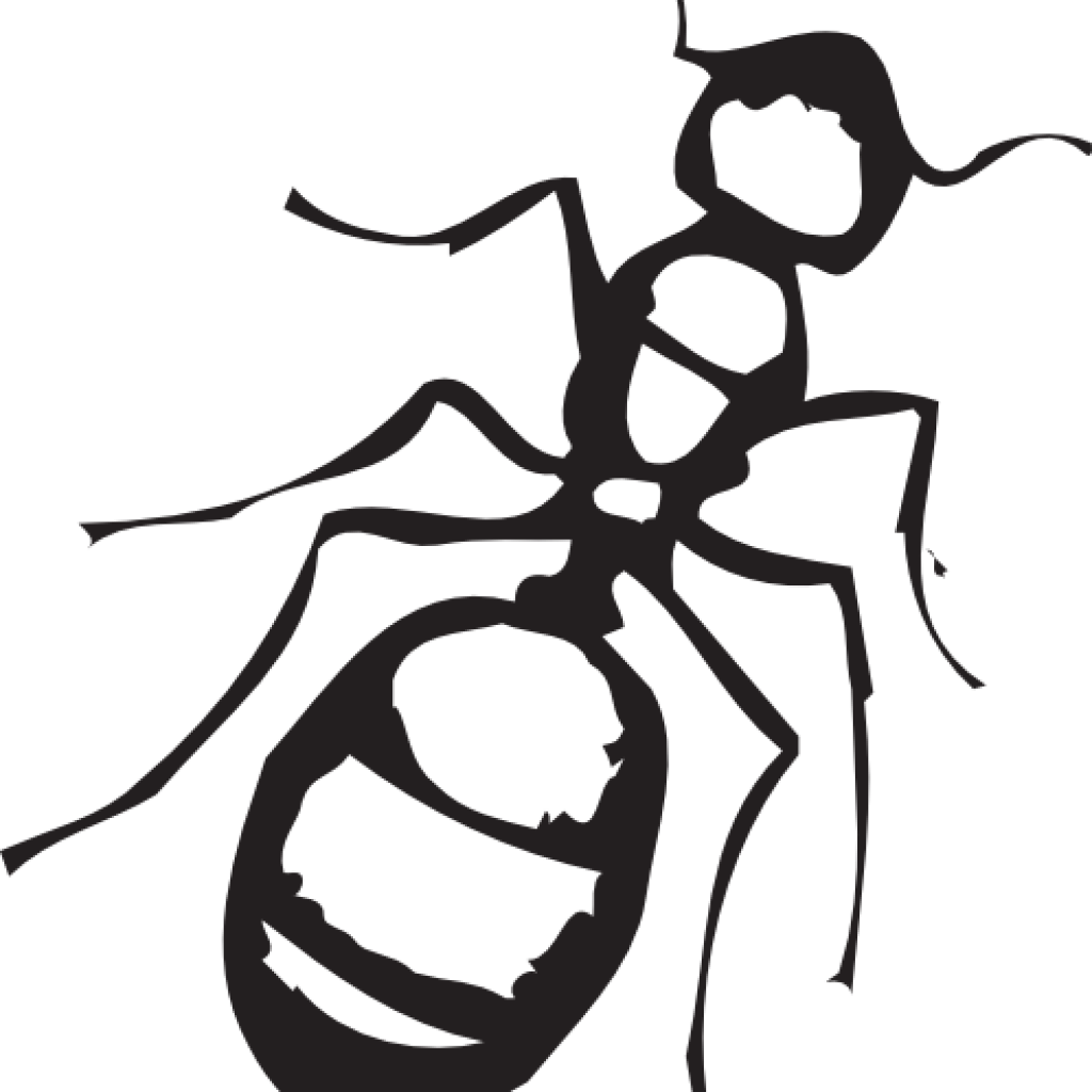 Silhouetteof Ant PNG