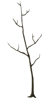 Silhouetteof Bare Tree Against Dark Background PNG