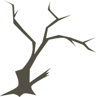 Silhouetteof Bare Tree Branches PNG