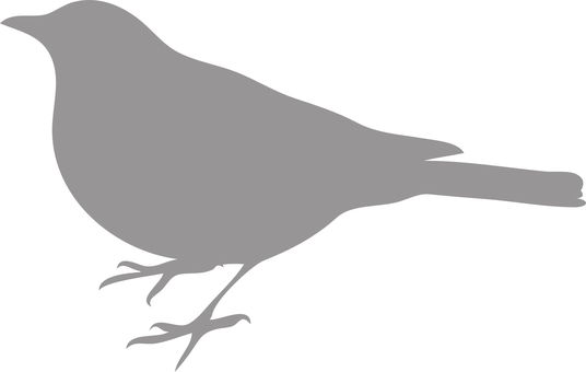 Silhouetteof Bird PNG