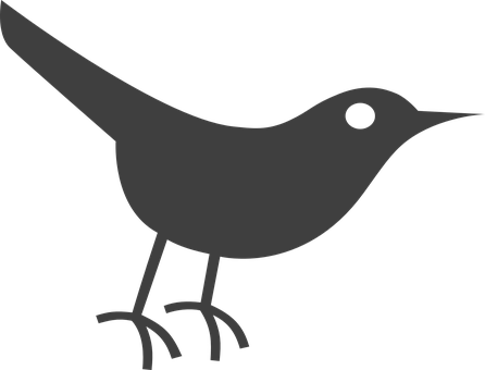 Silhouetteof Birdon Black Background PNG