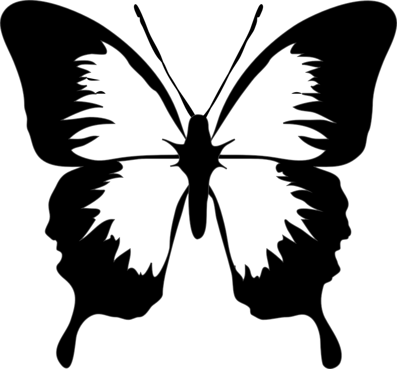 Silhouetteof Butterfly PNG