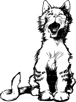 Silhouetteof Catin Darkness.jpg PNG