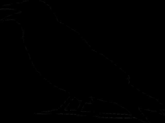 Silhouetteof Crow PNG