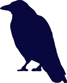 Silhouetteof Crow Standing PNG