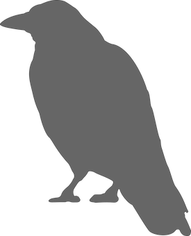 Silhouetteof Crow Standing PNG