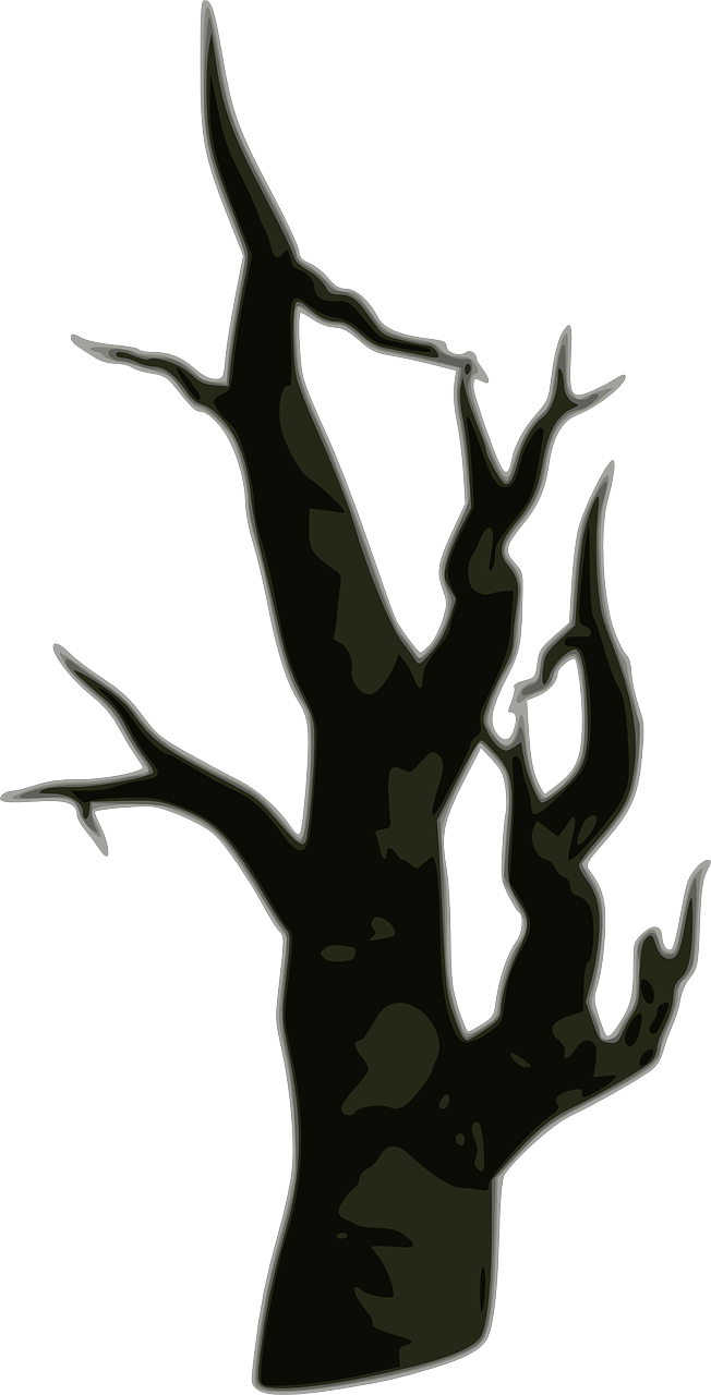 Silhouetteof Dead Tree PNG