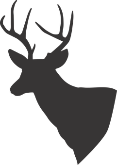 Silhouetteof Deer PNG